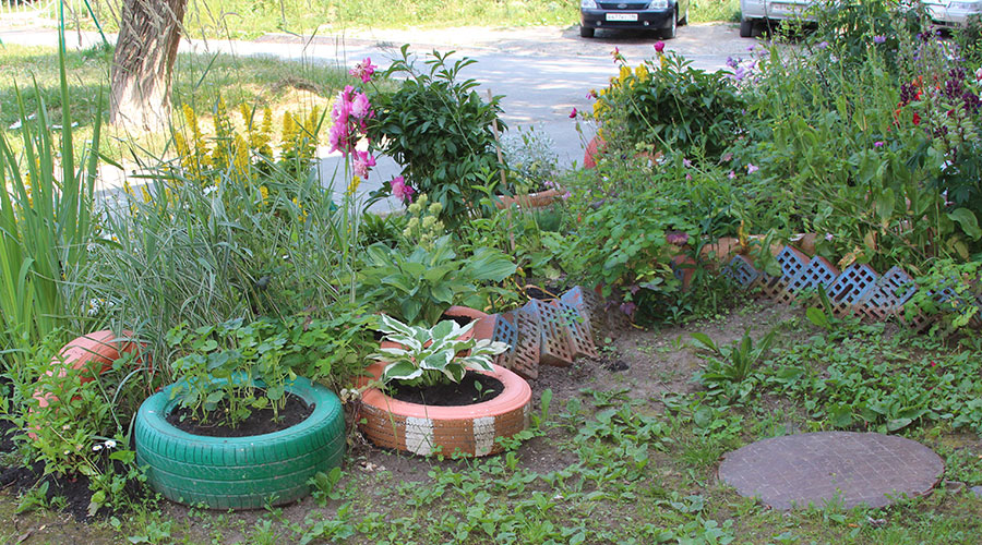 А у нас во дворе. Победы, 19