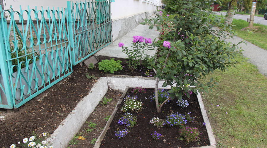 А у нас во дворе. Свердлова, 35