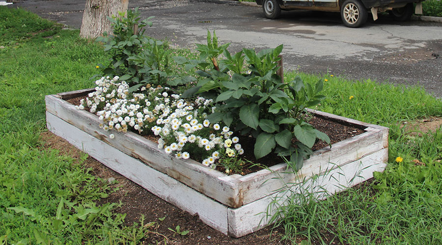 А у нас во дворе. Свердлова, 35