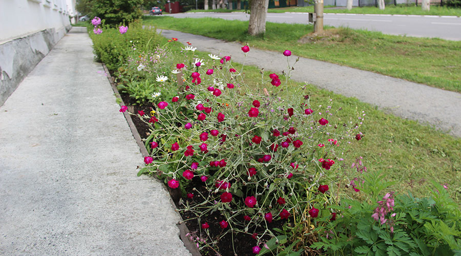 А у нас во дворе. Свердлова, 35