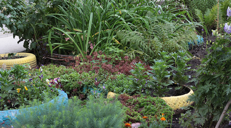 А у нас во дворе. Черёмушки, 18