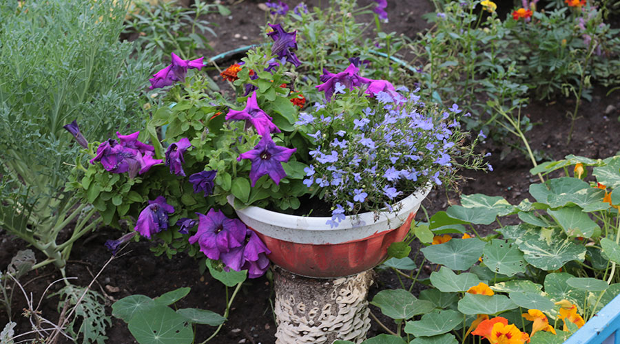 А у нас во дворе. Черёмушки, 18