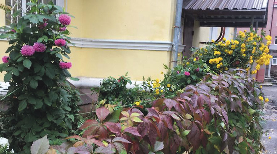 А у нас во дворе. Ленина, 3