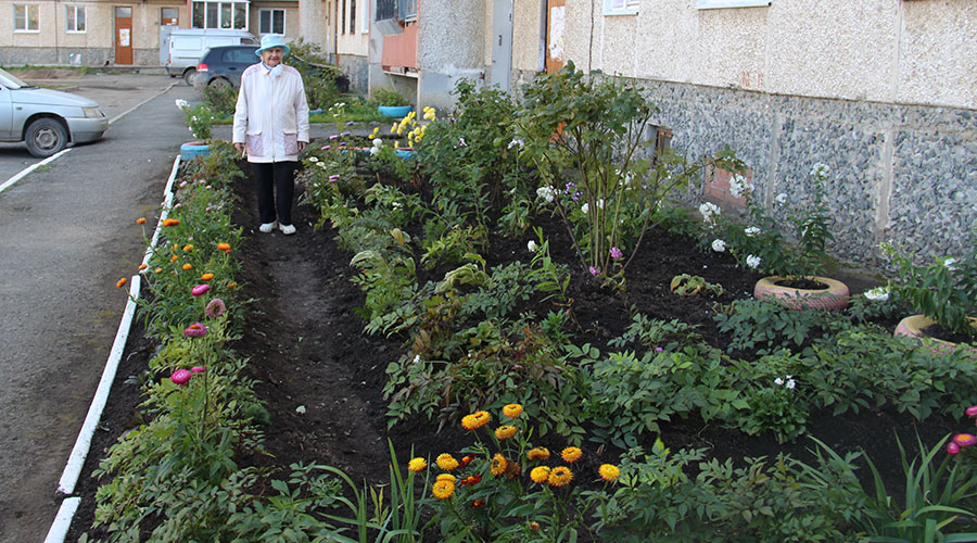 А у нас во дворе. октябрьская, 59