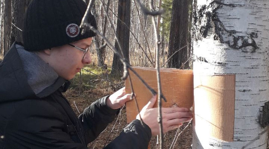 Полевчанка Мария Петрова самостоятельно освоила ремесло плетения из бересты