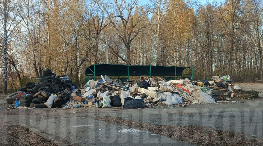 Состояние контейнерных площадок волнует всех