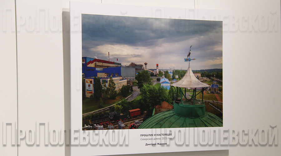 Более 50 фоторабот представил полевчанин Дмитрий Жданов на персональной выставке
