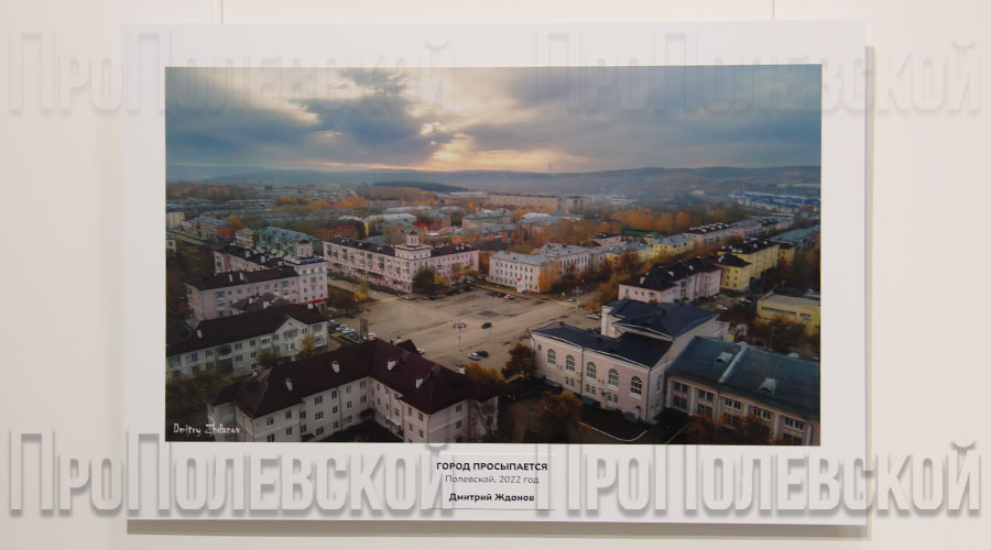 Более 50 фоторабот представил полевчанин Дмитрий Жданов на персональной выставке