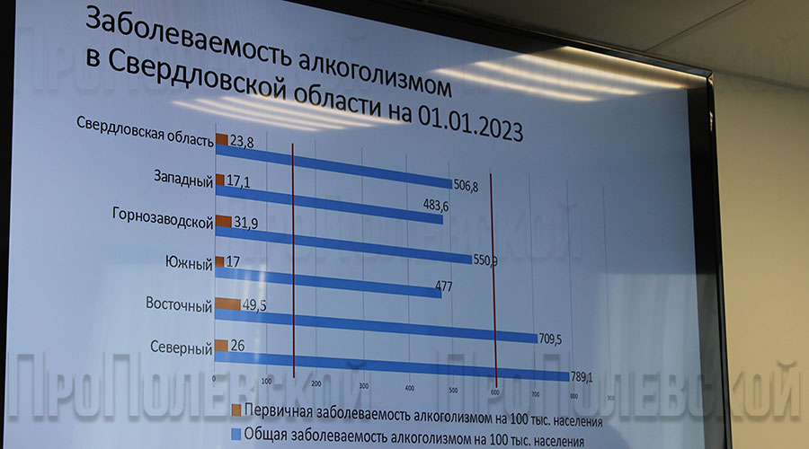 В Полевском прошёл круглый стол по вопросам трезвости