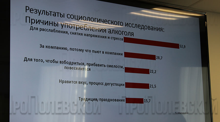 В Полевском прошёл круглый стол по вопросам трезвости