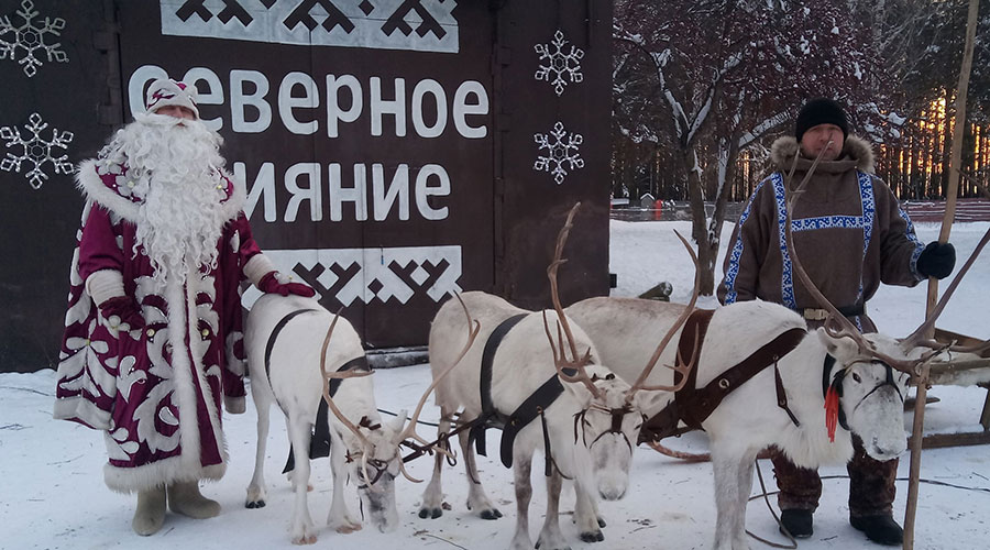 Уральская резиденция Деда Мороза находится в питомнике ездовых оленей «Северное сияние» в Мостовском