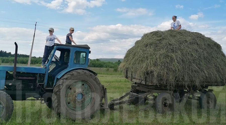 Что такое трактор, плуг и сенокос, дети в этой семье знают не понаслышке