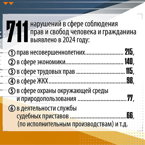 711 нарушений в сфере соблюдения прав и свобод человека и гражданина выявлено в 2024 году