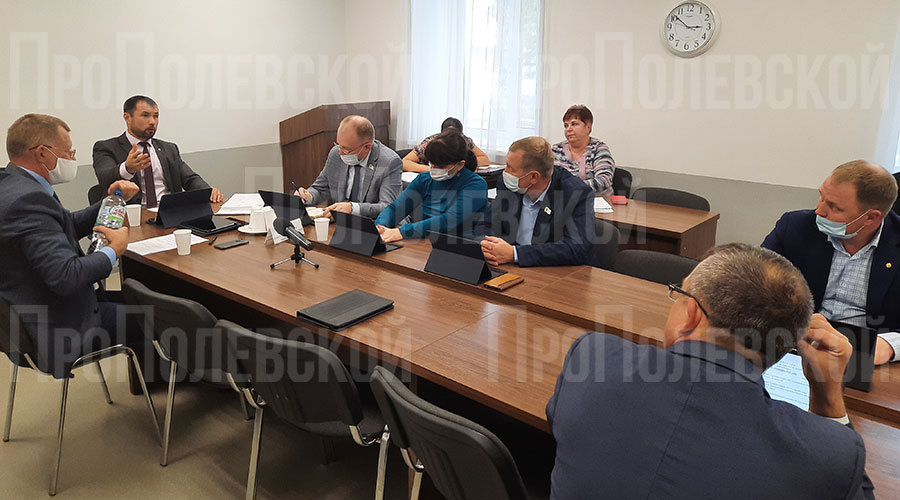 По результатам заседания комитета депутаты рекомендавали руководству Железянского рудника доработать соглашение о социальном партнёрстве, провести встречу с жителями и наглядно показать им, каким способом будут проводиться работы на карьере, а также запросили в адрес Думы Полевского округа все разрешительные документы на производство